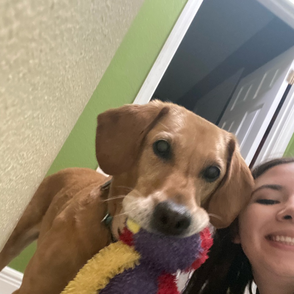 Sarah’s Christmas gift
